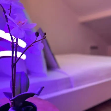 Ferienhaus Duplex Avec Jacuzzi Proche Paris Et Roissy Cdg Goussainville (Val-d'Oise)